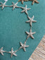 Cinturón cadena estrellas de mar